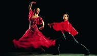Новый танцевальный клубный проект «Tablao Flamenсo»