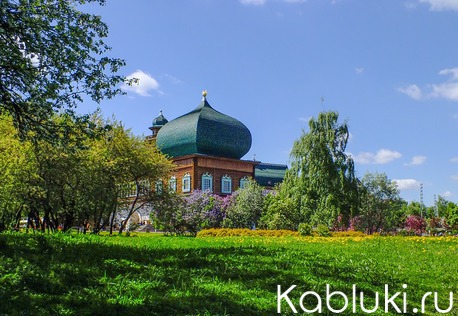 National park Kolomenskoe