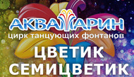 Цветик — семицветик. Новогоднее шоу 2020