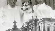 Пречистенка. Тени лиц и событий. Прогулка с Михаилом Шапошниковым