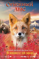 �������� ���