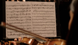 ������ �������