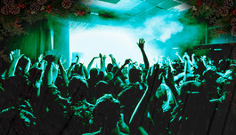 ���� Bass ������