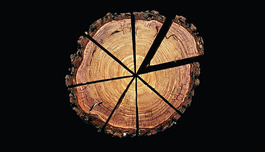 �������� ���