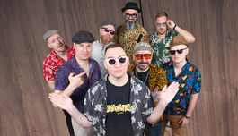 Ska������. 20 ��� ������� �Serious fun�