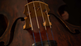 ���� �������� ����. Magic Cellos Band